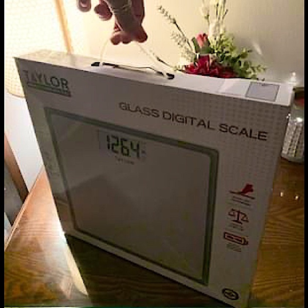 Taylor Glass Digital Scale BRAND NEW!!